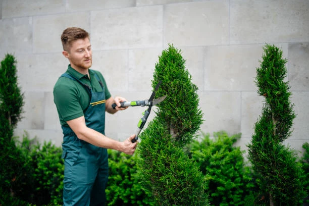 Gardening & Landscaping