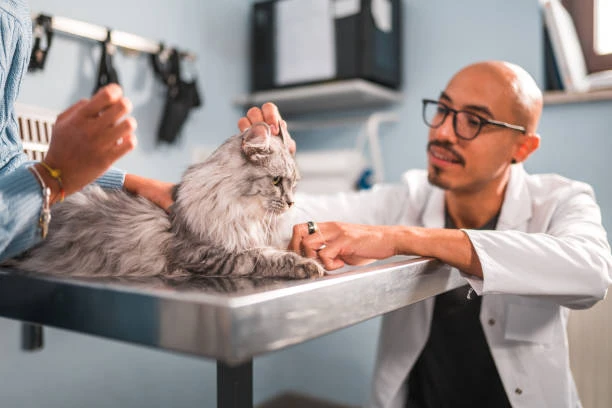 Veterinary Services